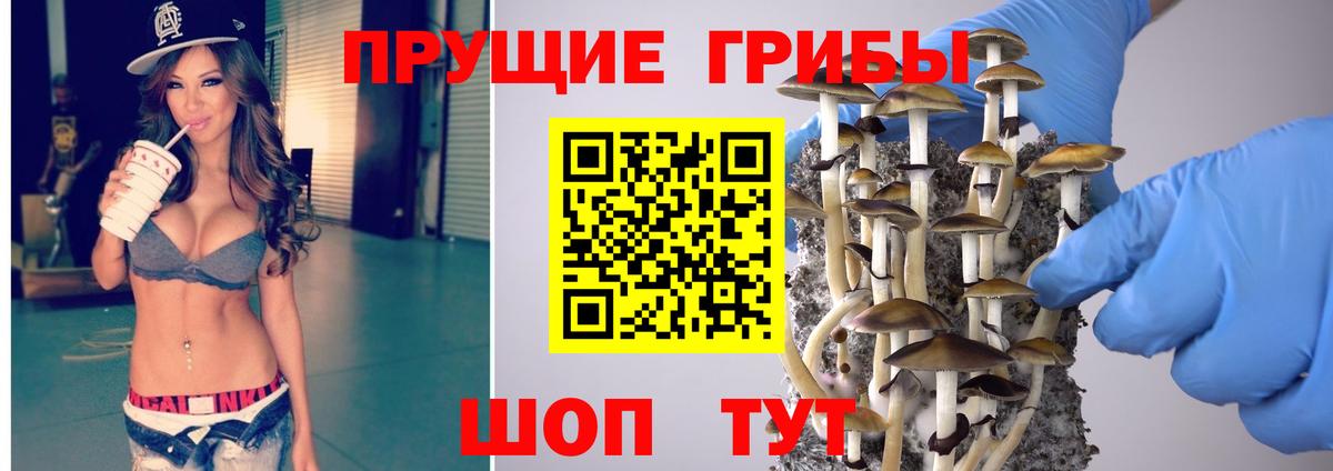 Галлюциногенные грибы Psilocybe  Вход с VPN  Евпатория 